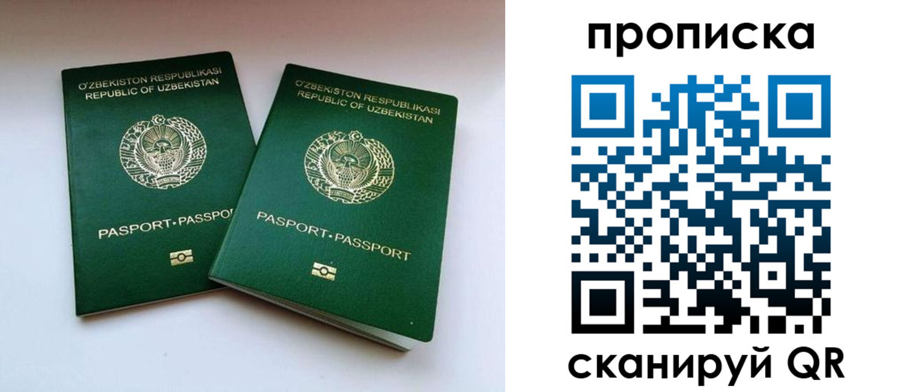 прописка поиск в Ивдели
